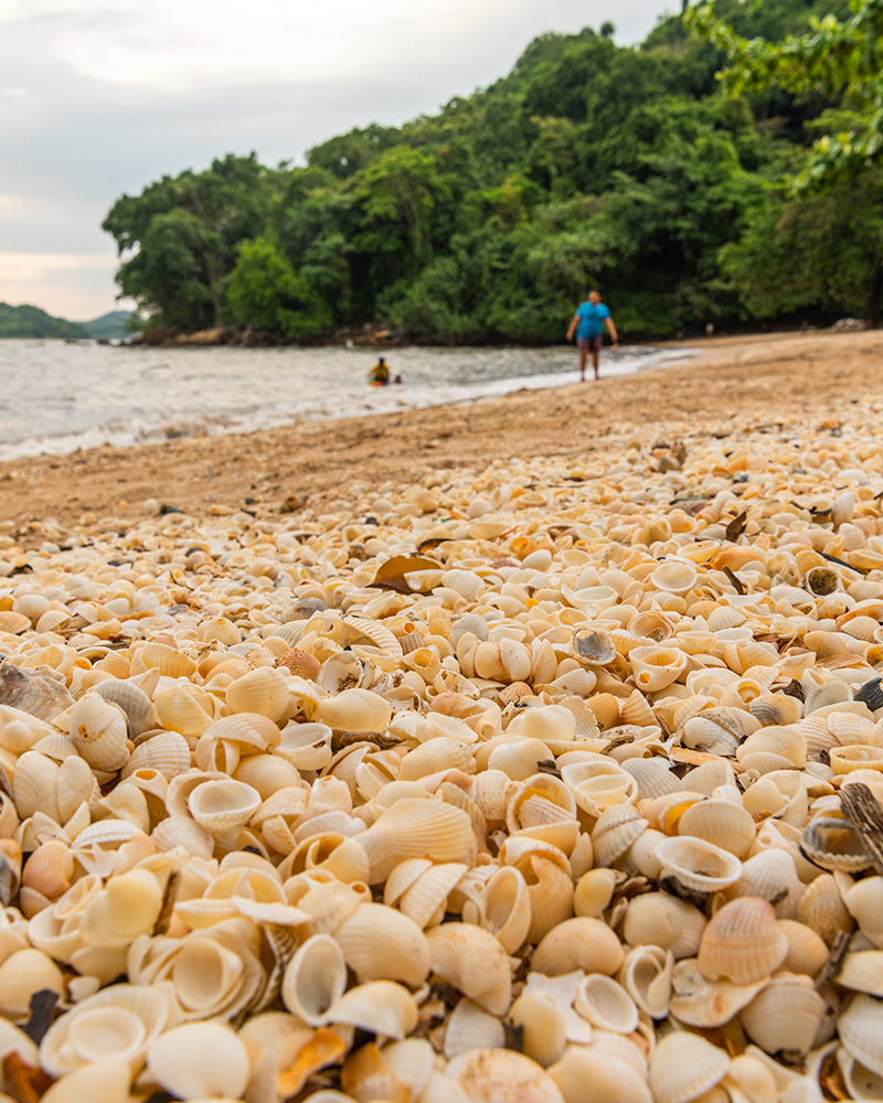 Trat Hoi Khao Beach (หาดทรายหอยขาว) 215605MC (1)