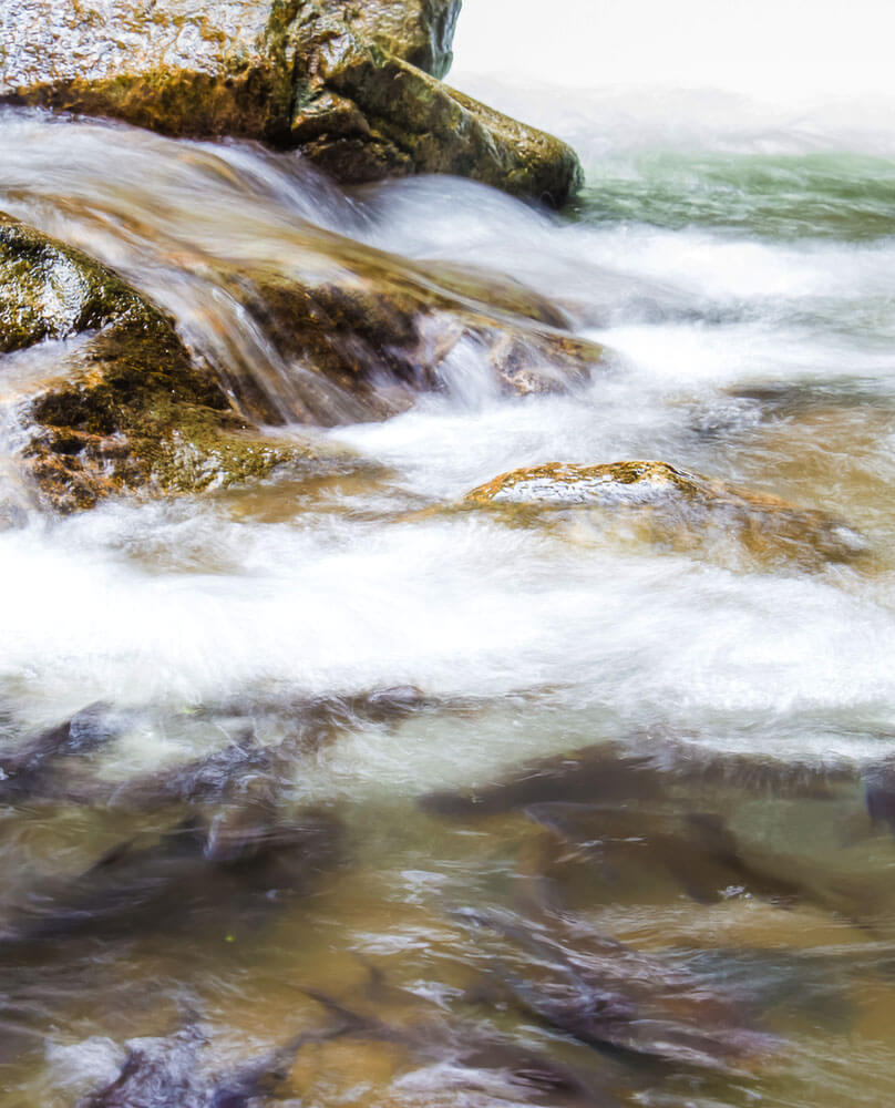 close up of waterfall in Namtokphlio National Park,Chantaburi Pr